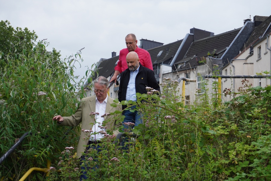 Auf diesem Bild sehen Sie CDU-Ratsvertreter eine Treppe hinabsteigen.