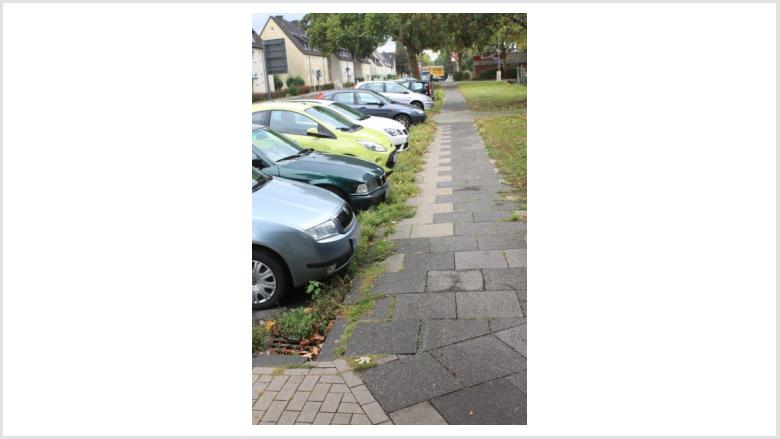 Grünwuchs auf dem Parkstreifen Dönnstraße Grünwuchs auf dem Parkstreifen Dönnstraße