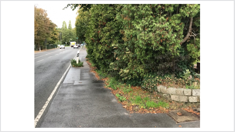 Grünschnitt auf dem Gehweg Schapusstraße Dortmund-Mengede
