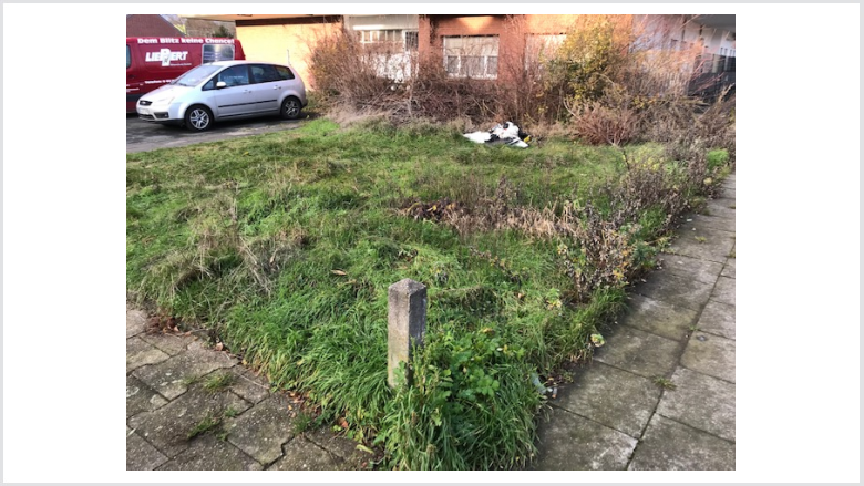Verwildertes Grünstück am Schenkebierweg 1, Dortmund-Mengede Verwildertes Grünstück am Schenkebierweg 1, Dortmund-Mengede